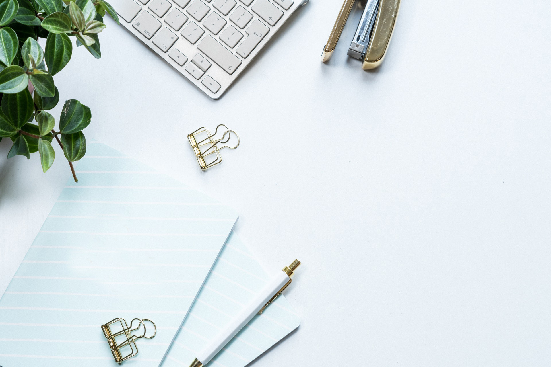 Emprender para Ganar Academy + 3 Bonus